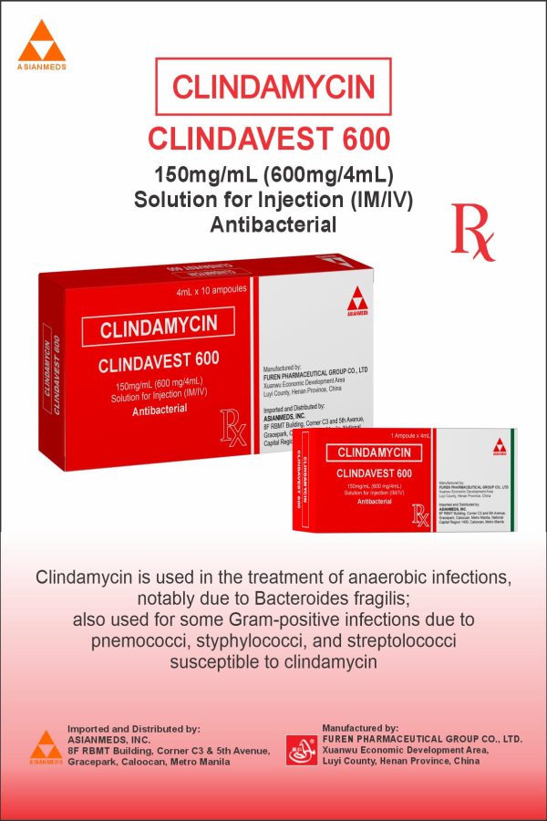 Clindavest 600 - Image 2